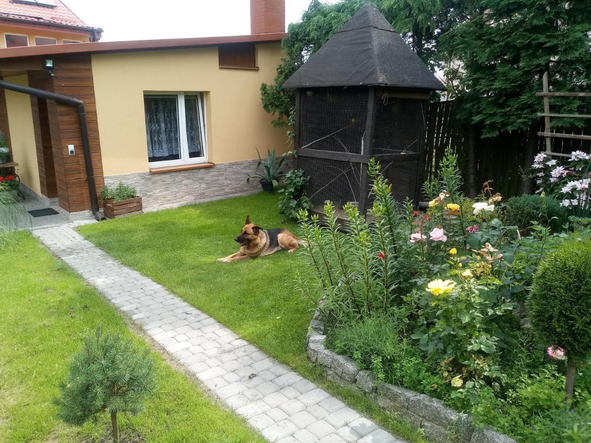 Agroturystyka U Agaty Checiny  Luaran gambar