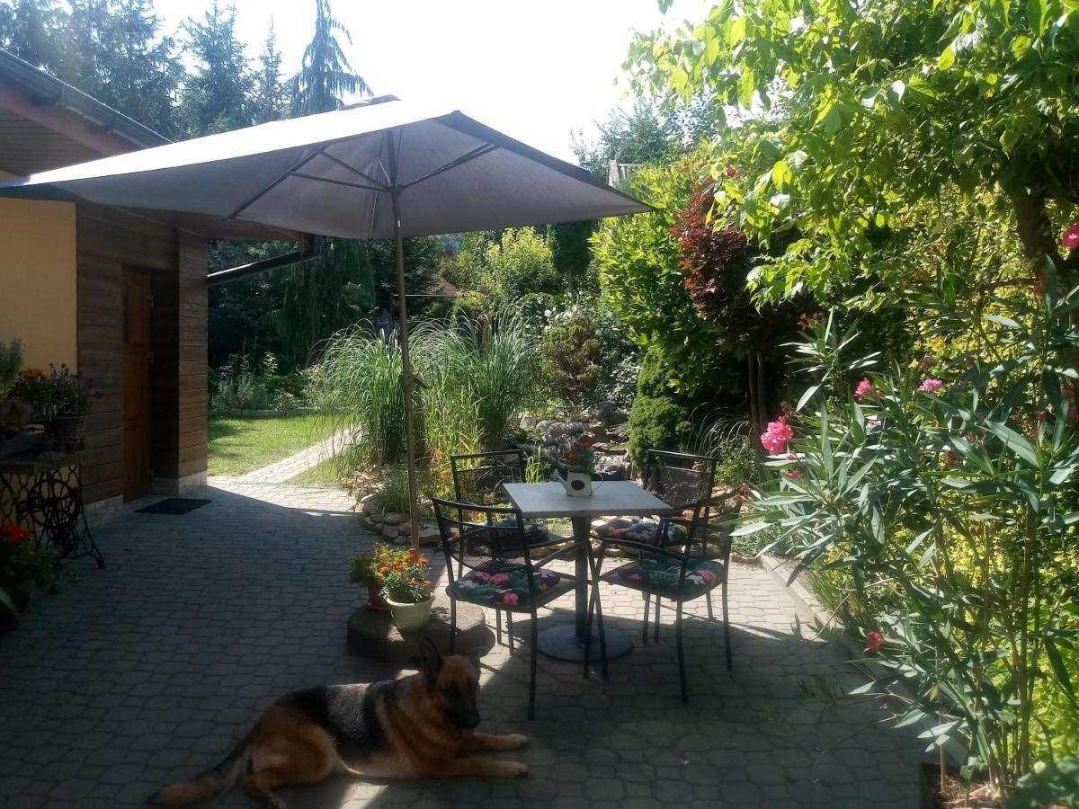 Agroturystyka U Agaty Checiny  Luaran gambar
